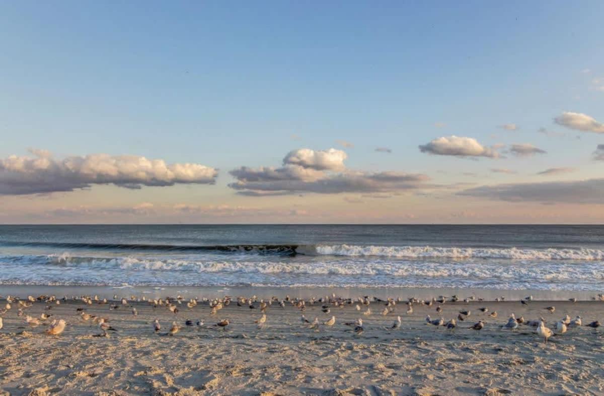 *BEACH, COMFY, SUNNY* *Great Pools, Hot Tubs, Lazy Rive&More*S44 Myrtle Beach Zewnętrze zdjęcie